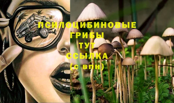 гашишное масло Бородино