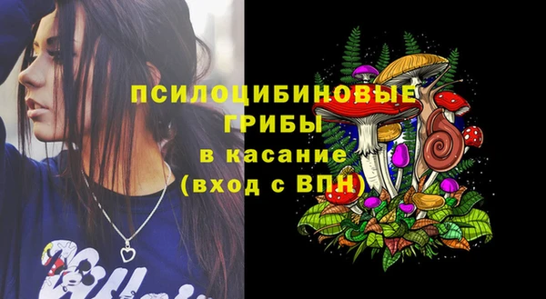 прущие крисы Приозерск