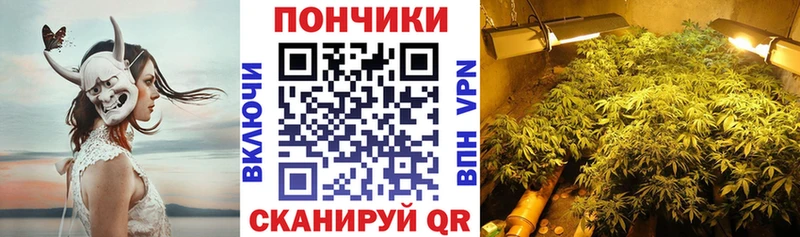 где купить   Нея  Каннабис марихуана 